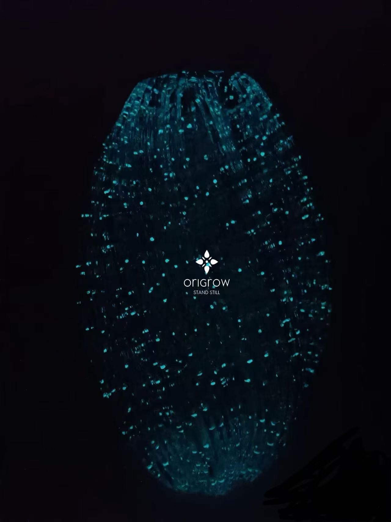 Luminous Diamond Crystal Glass Vase